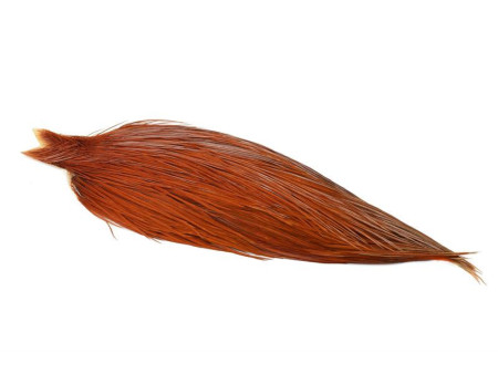 Whiting High & Dry - Brown
