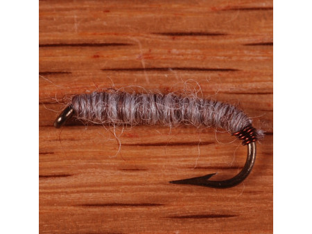 Killer Bug