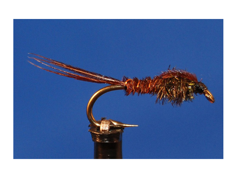 Pheasant Tail Nymph