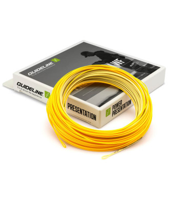 Guideline Power Presentation WF