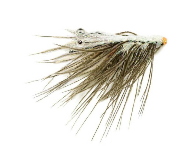 Spey Shrimpy