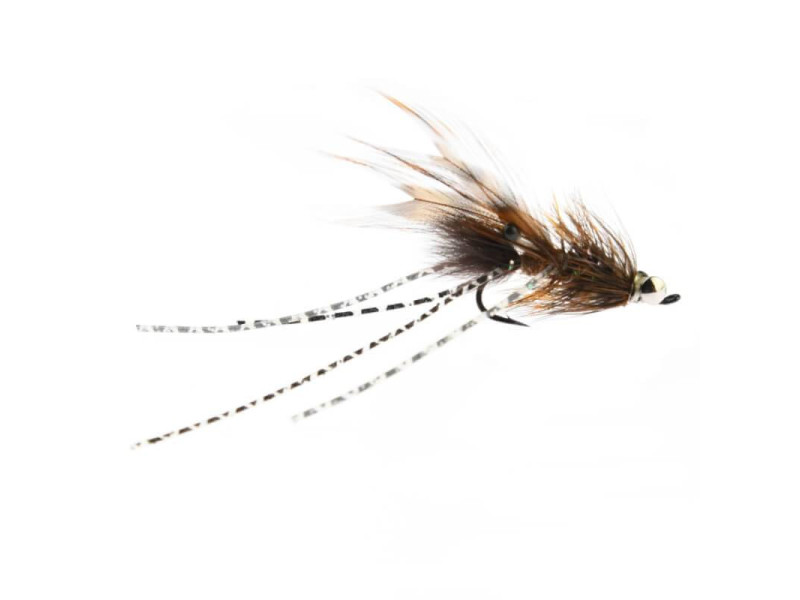 Wittlock Crayfish